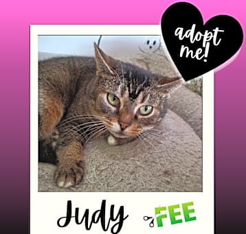Photo of Judy