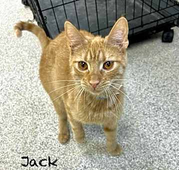 Photo of Jack