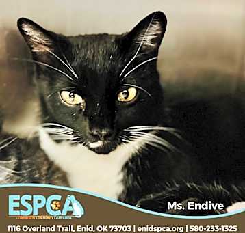 Photo of Ms. Endive