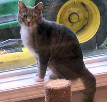 Photo of Tom