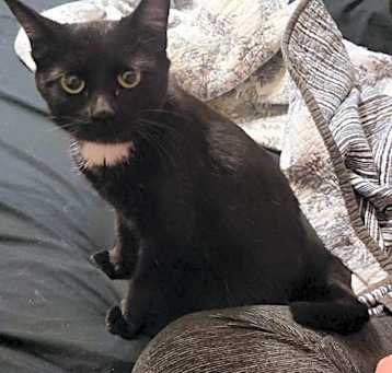 Photo of Sadie Jane