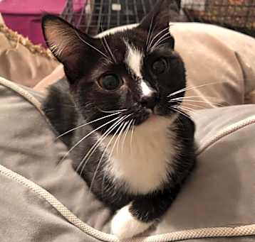 Photo of Jessica (Tippy)