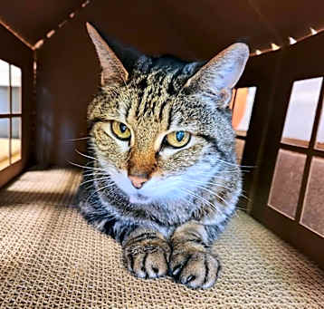 Photo of Mister