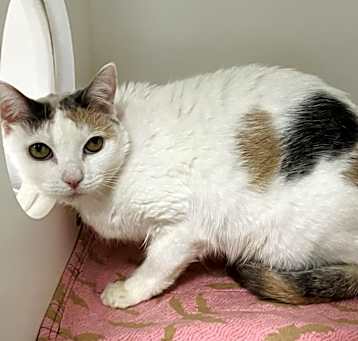 Photo of Holly
