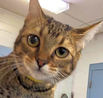 Photo of Meela