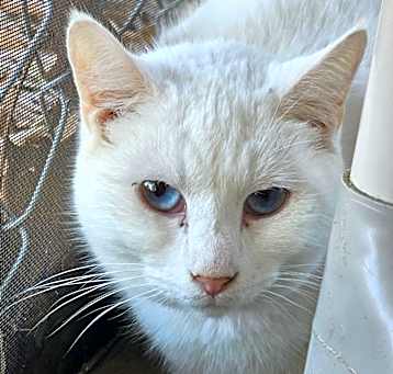 Photo of Tiny