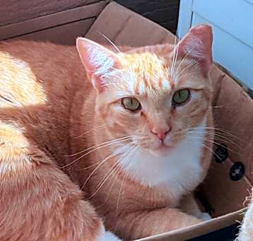 Photo of Hera