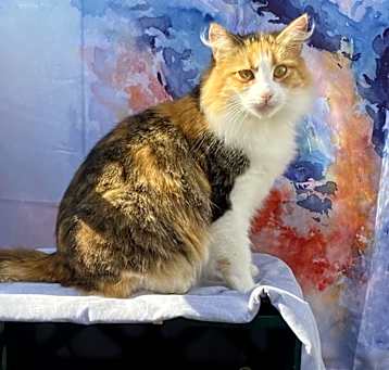 Photo of Pia