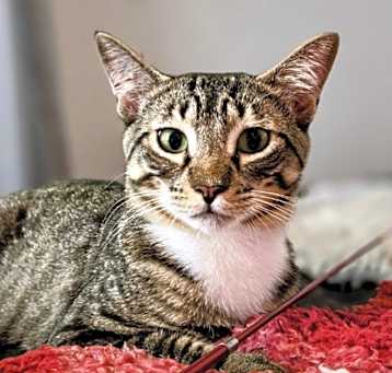 Photo of Sovereign