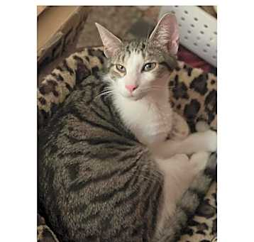 Photo of Raylan