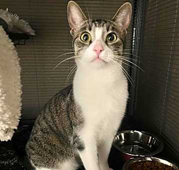 Photo of Tako