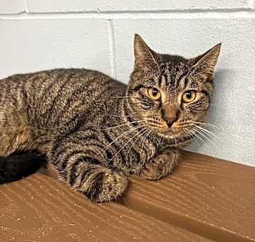 Photo of Max