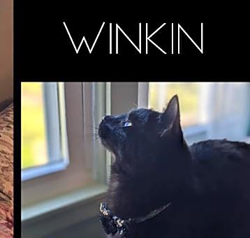 Photo of Winkin