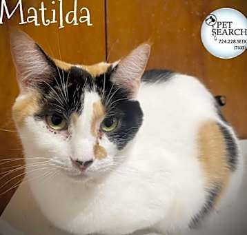 Photo of Matilda