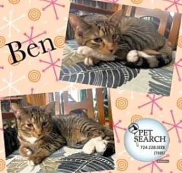 Photo of Ben