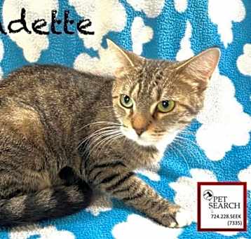 Photo of Bernadette