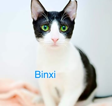 Photo of Binxi