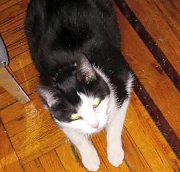 Photo of Lizzy