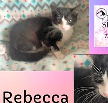 Photo of Rebecca