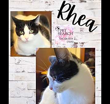Photo of Rhea