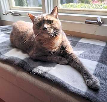 Photo of Polly