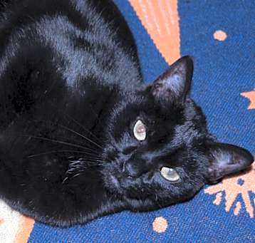 Photo of Mallory