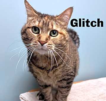 Photo of Glitch 240696