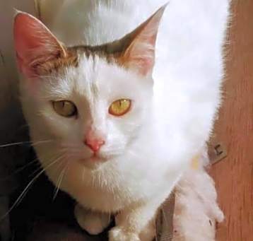 Photo of Laverne