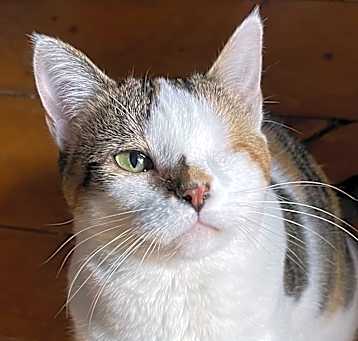 Photo of Stacy