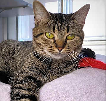 Photo of Sabina