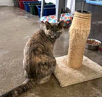 Photo of Mama Jill