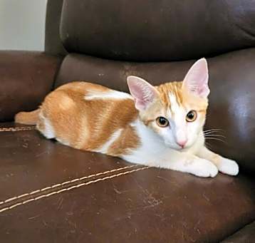 Photo of Payton