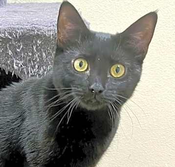 Photo of Agnes