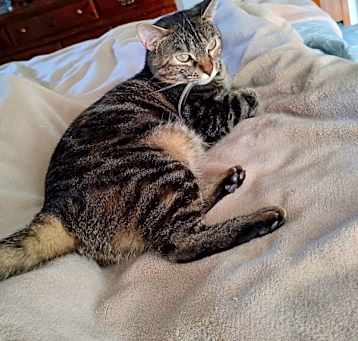 Photo of Baby