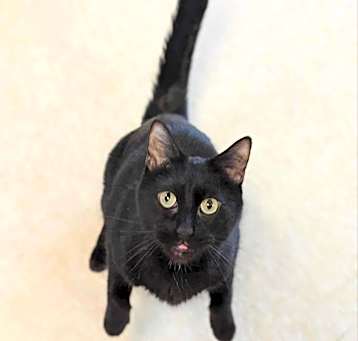 Photo of Munchkin