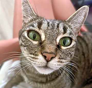 Photo of Swatch