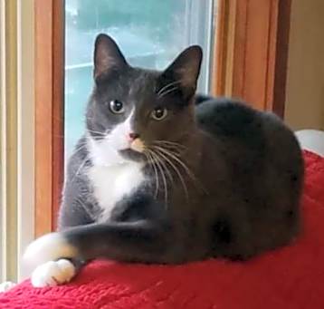 Photo of Tuna
