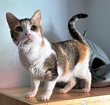 Photo of Grace