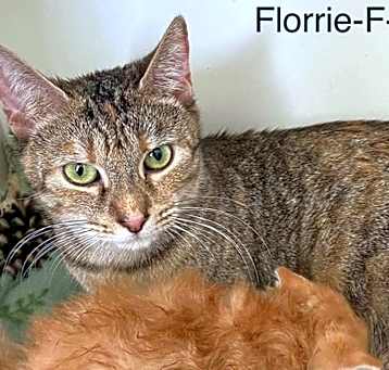 Photo of Florrie