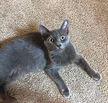 Photo of Sylvia