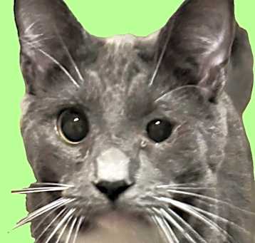 Photo of Eggbert