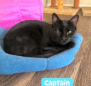 Photo of Captain 