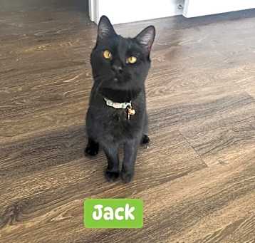 Photo of Jack