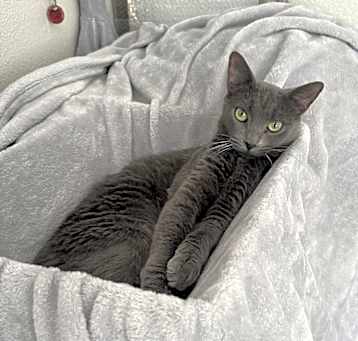 Photo of Lily