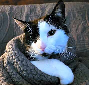 Photo of Bob
