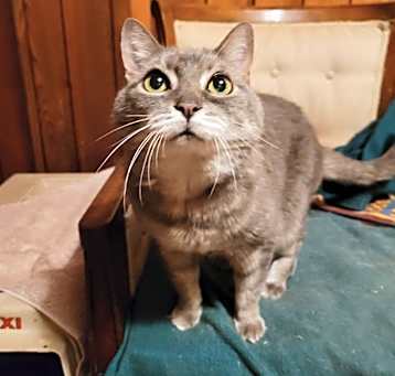 Photo of Emily Rose