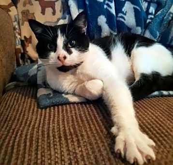 Photo of Jasper