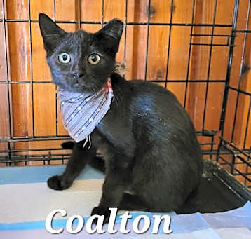 Photo of Coalton