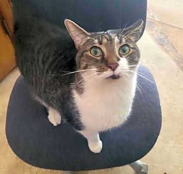 Photo of Pretty Boy