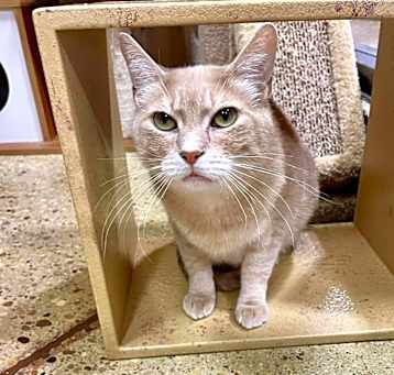 Photo of Arya